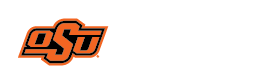 次要标志